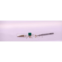 Karma Gold Pro Tweezers